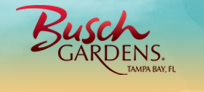 Busch Gardens Tamps
